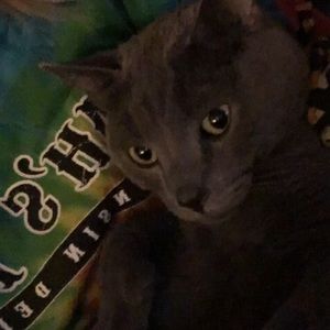 Meet your Posher, Maggie